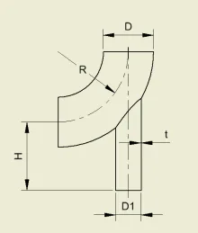 Dummy leg